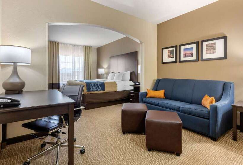 酒店 Comfort Inn & Suites North Little Rock Mccain Mall