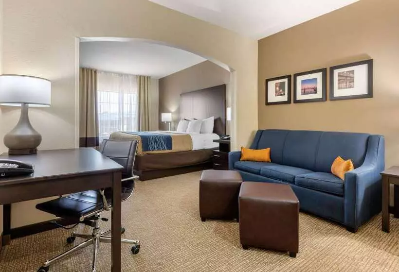 هتل Comfort Inn & Suites North Little Rock Mccain Mall