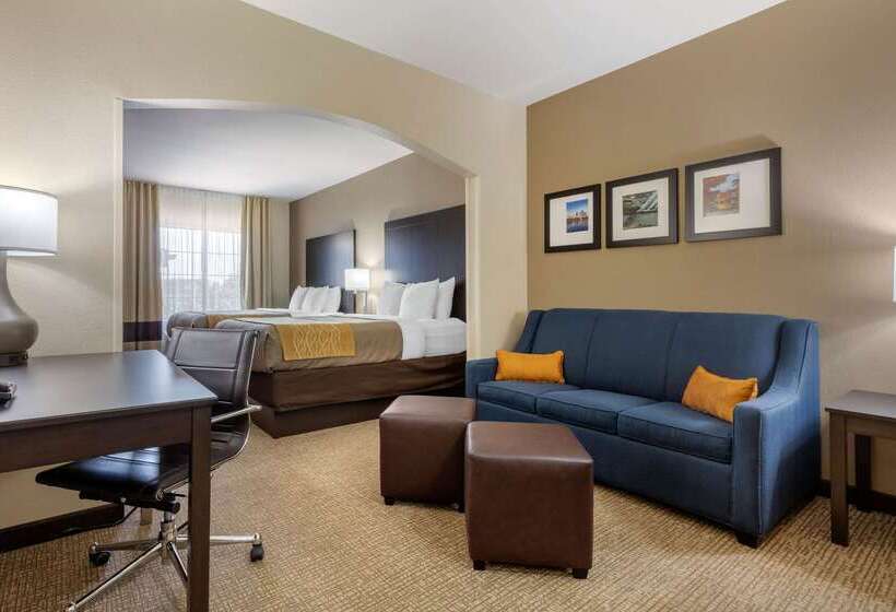 酒店 Comfort Inn & Suites North Little Rock Mccain Mall