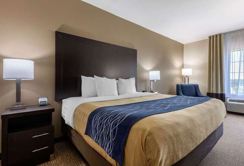 酒店 Comfort Inn & Suites North Little Rock Mccain Mall