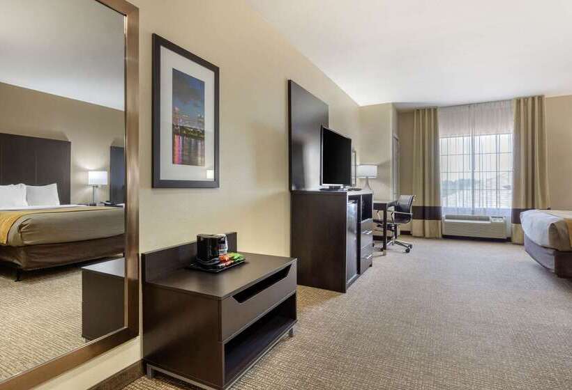 酒店 Comfort Inn & Suites North Little Rock Mccain Mall