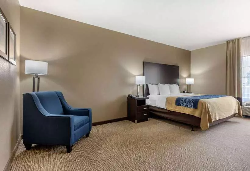 هتل Comfort Inn & Suites North Little Rock Mccain Mall
