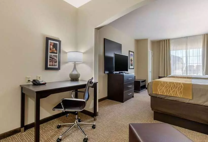 هتل Comfort Inn & Suites North Little Rock Mccain Mall