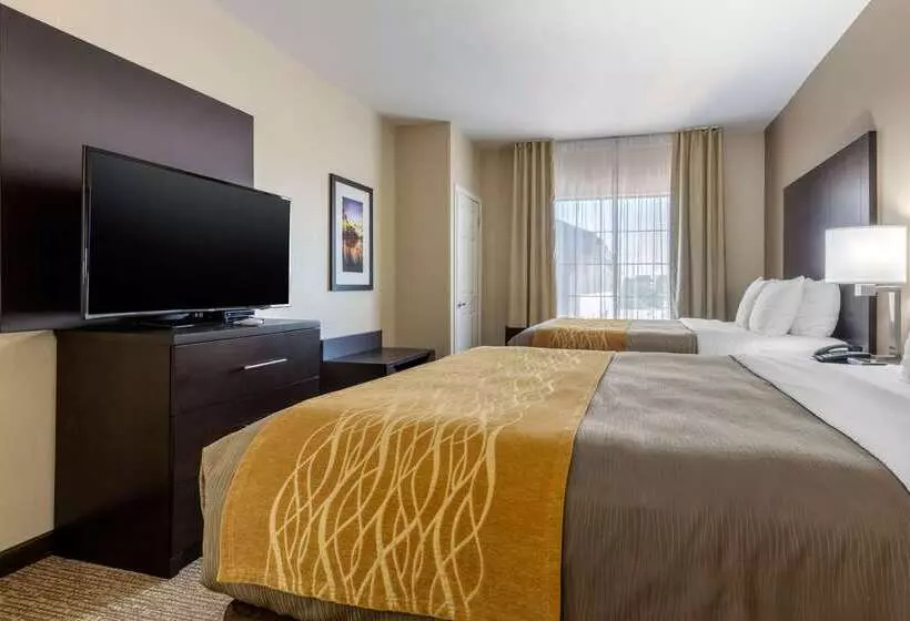 هتل Comfort Inn & Suites North Little Rock Mccain Mall
