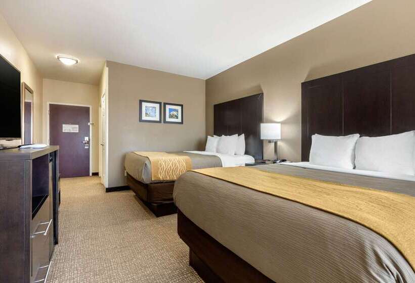 酒店 Comfort Inn & Suites North Little Rock Mccain Mall