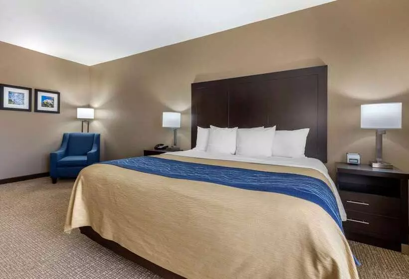 هتل Comfort Inn & Suites North Little Rock Mccain Mall