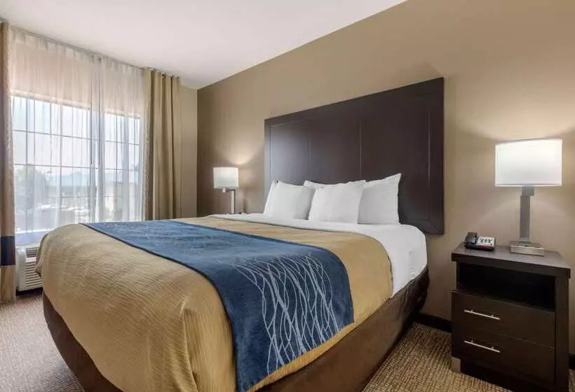 هتل Comfort Inn & Suites North Little Rock Mccain Mall