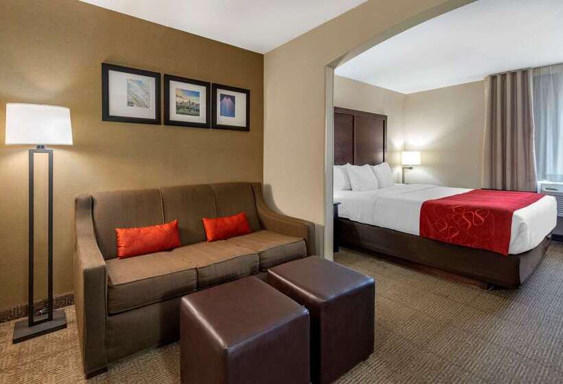 酒店 Comfort Suites Highlands Ranch Denver Tech Center Area