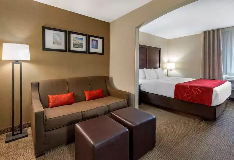 Отель Comfort Suites Highlands Ranch Denver Tech Center Area