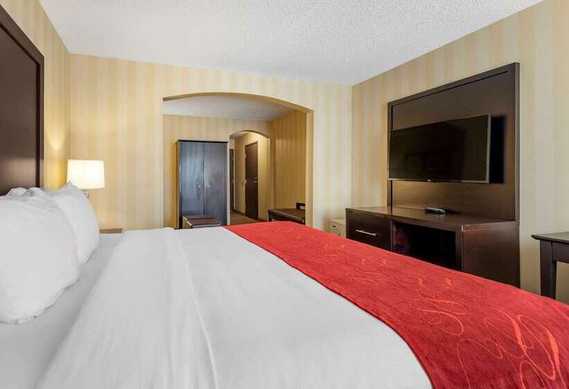 酒店 Comfort Suites Highlands Ranch Denver Tech Center Area