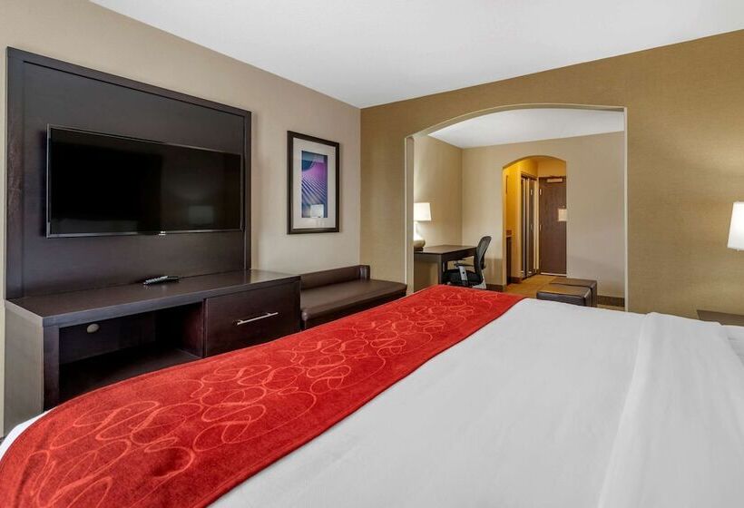 酒店 Comfort Suites Highlands Ranch Denver Tech Center Area