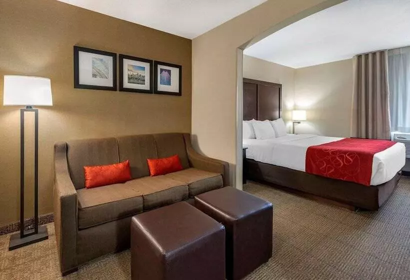 Отель Comfort Suites Highlands Ranch Denver Tech Center Area