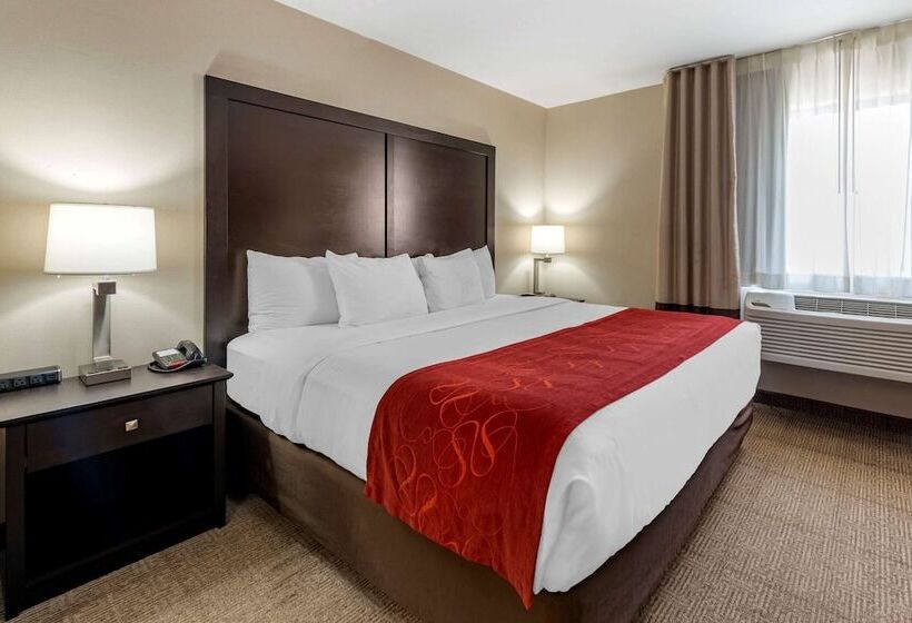 酒店 Comfort Suites Highlands Ranch Denver Tech Center Area