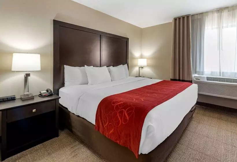 Отель Comfort Suites Highlands Ranch Denver Tech Center Area