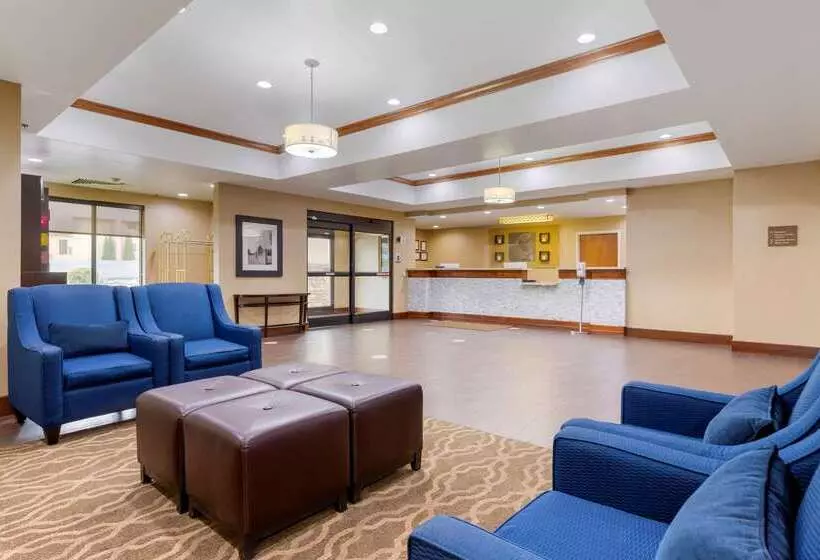 فندق Comfort Suites Johnson City Near University