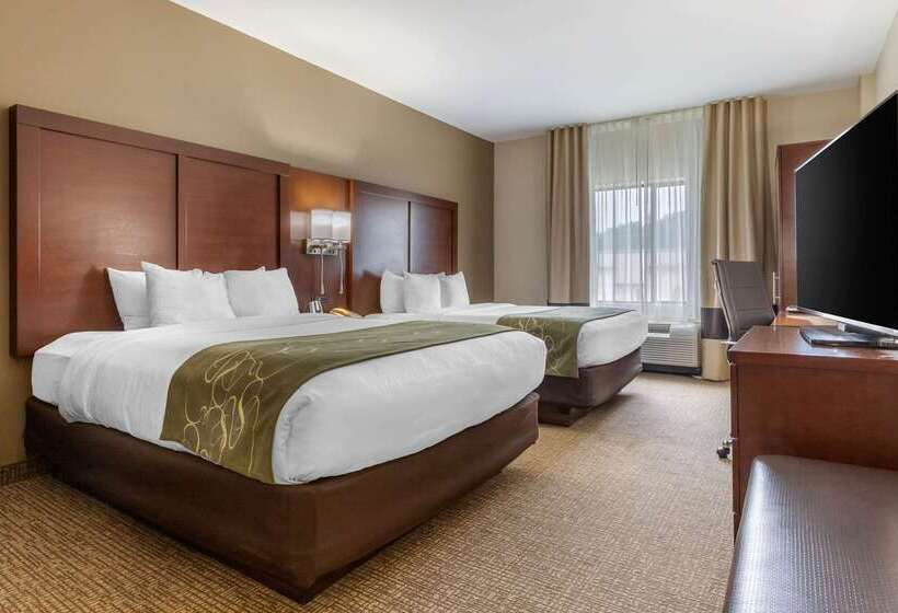 Szálloda Comfort Suites Johnson City Near University