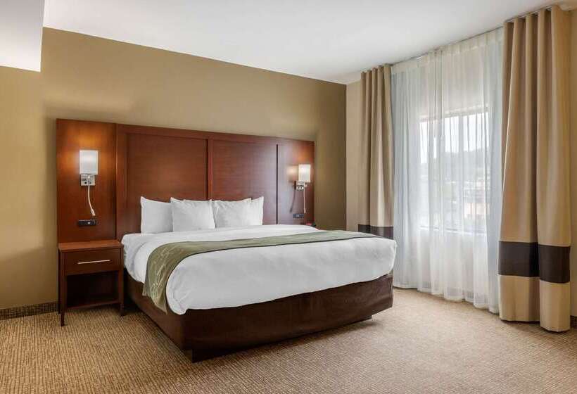 Szálloda Comfort Suites Johnson City Near University
