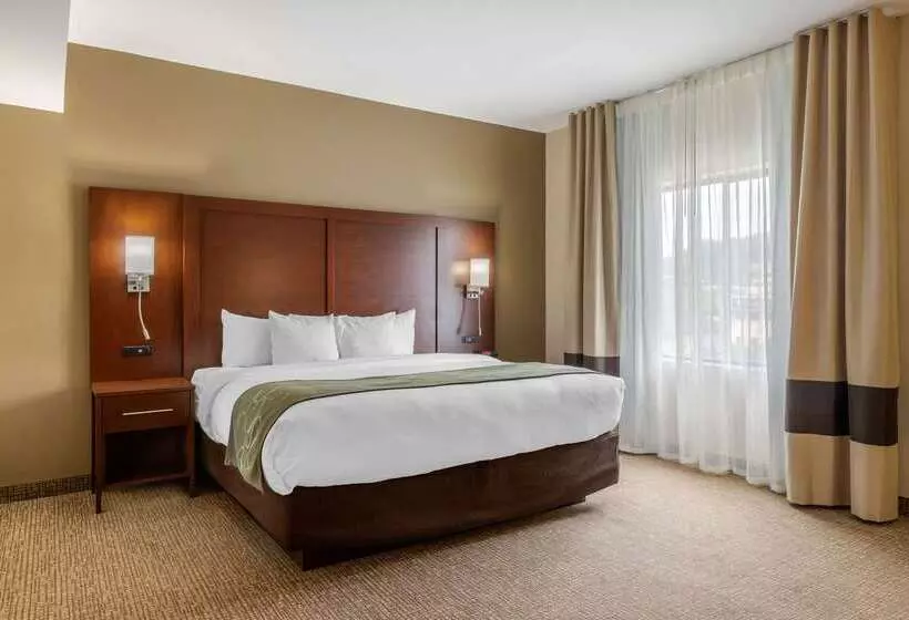 فندق Comfort Suites Johnson City Near University