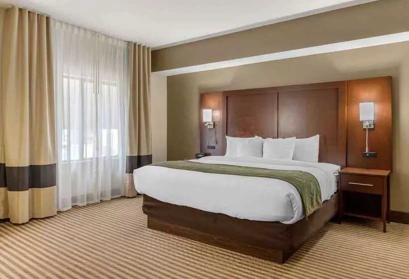 فندق Comfort Suites Johnson City Near University