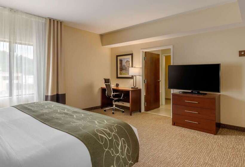 Szálloda Comfort Suites Johnson City Near University