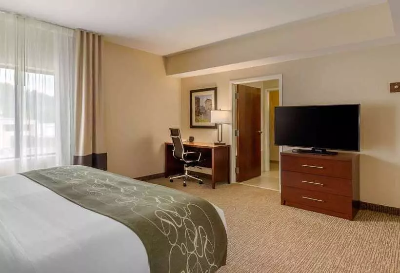 فندق Comfort Suites Johnson City Near University