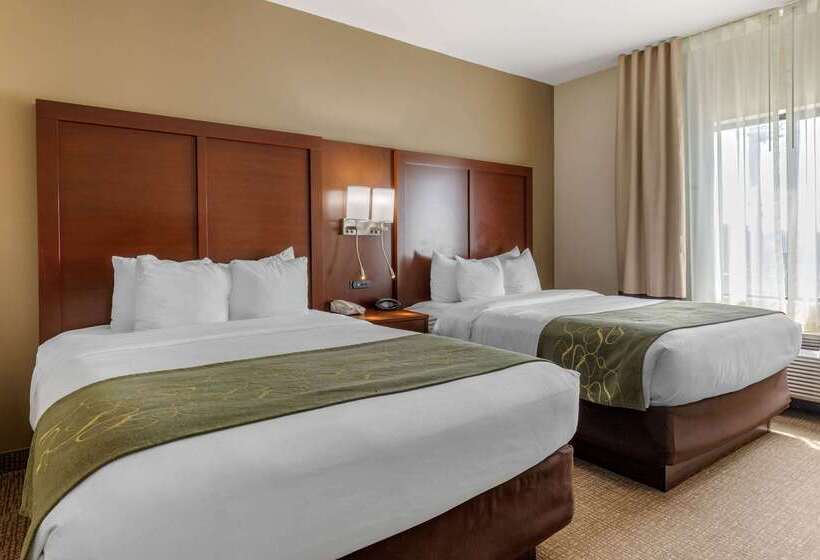 Szálloda Comfort Suites Johnson City Near University