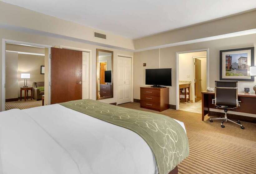 Szálloda Comfort Suites Johnson City Near University