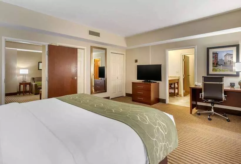 فندق Comfort Suites Johnson City Near University