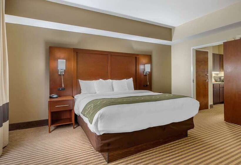 Szálloda Comfort Suites Johnson City Near University