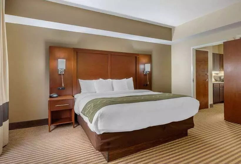 فندق Comfort Suites Johnson City Near University
