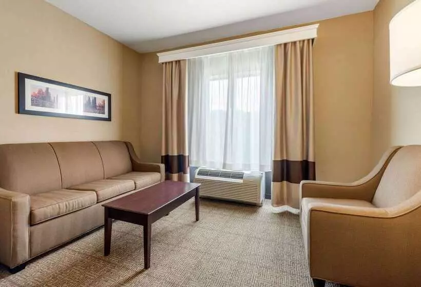 호텔 Comfort Suites Near Route 66