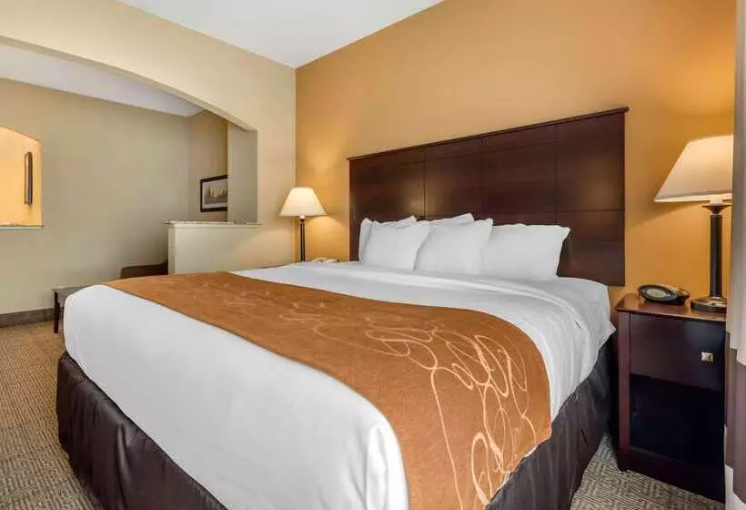호텔 Comfort Suites Near Route 66