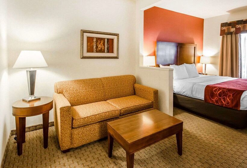 酒店 Comfort Suites Prestonsburg West
