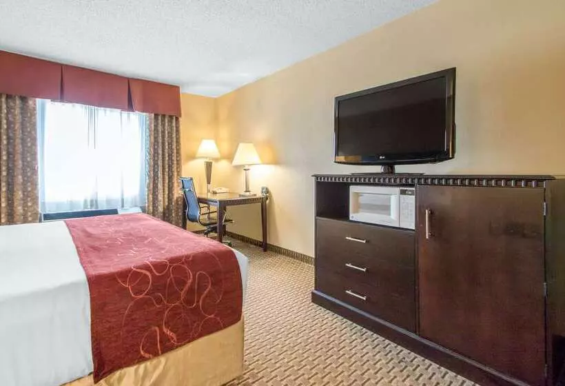 Отель Comfort Suites Wisconsin Dells Area
