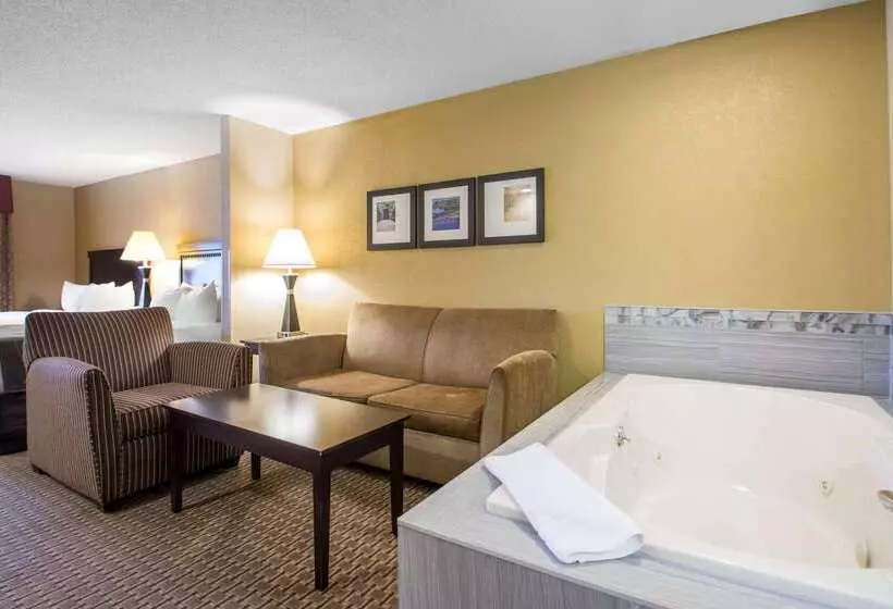 Отель Comfort Suites Wisconsin Dells Area