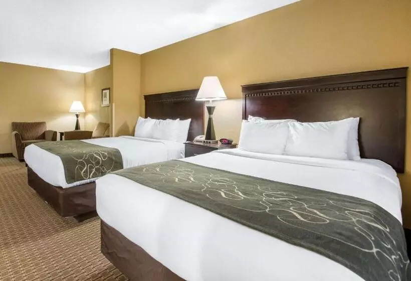 Отель Comfort Suites Wisconsin Dells Area