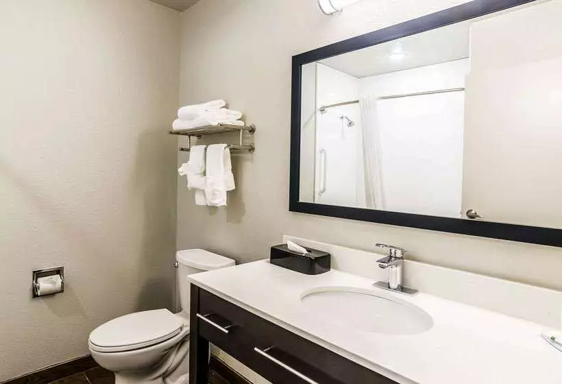 酒店 Quality Inn & Suites Westminster Broomfield