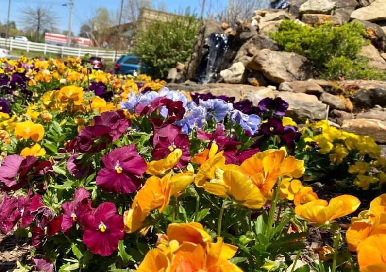 فندق Country Inn & Suites By Radisson, Jackson, Tn