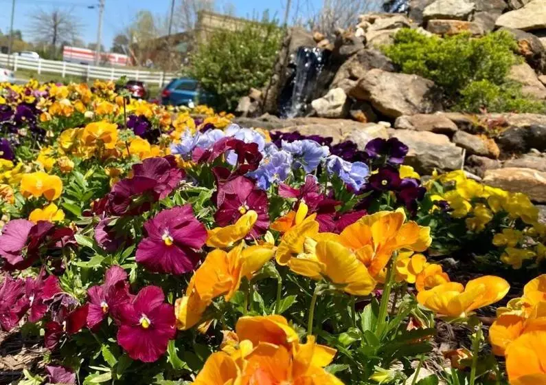 هتل Country Inn & Suites By Radisson, Jackson, Tn