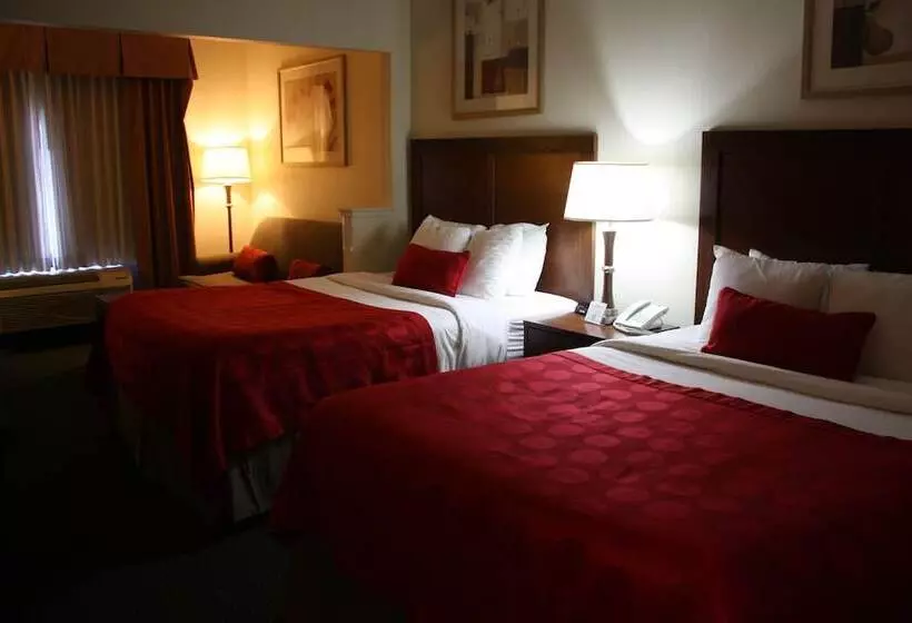 ホテル Ramada By Wyndham Denver International Airport