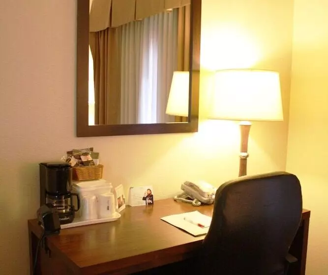 ホテル Ramada By Wyndham Denver International Airport