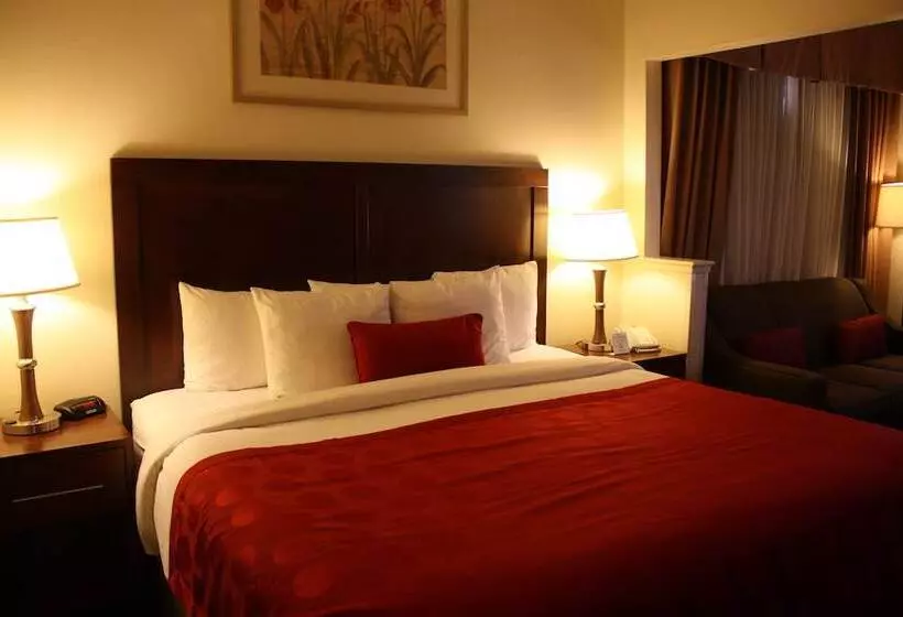 ホテル Ramada By Wyndham Denver International Airport