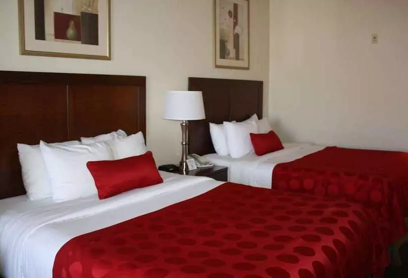 ホテル Ramada By Wyndham Denver International Airport