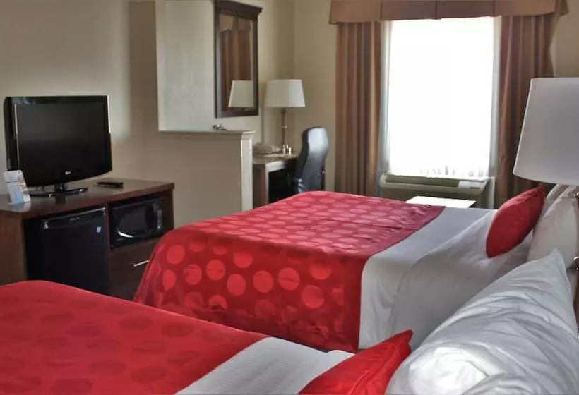 ホテル Ramada By Wyndham Denver International Airport