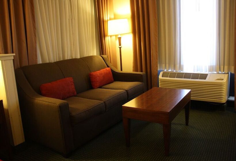 هتل Ramada By Wyndham Denver International Airport