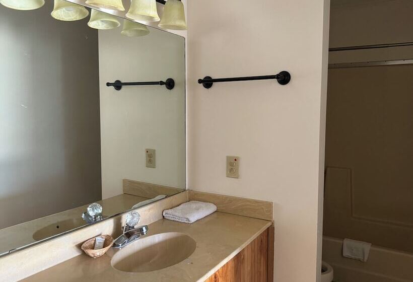 מוטל Country Inn & Suite