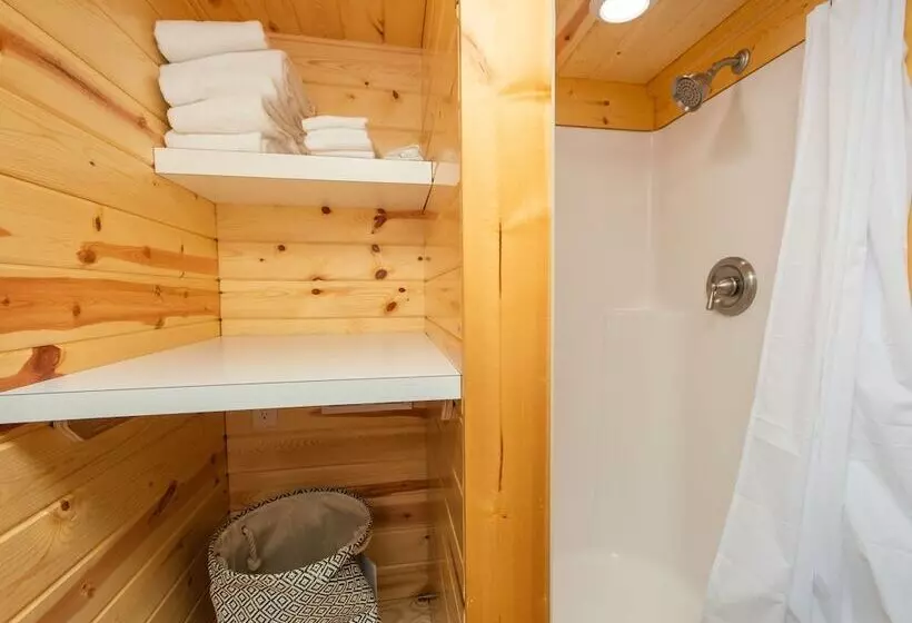 Motelli Tiny House Leadville