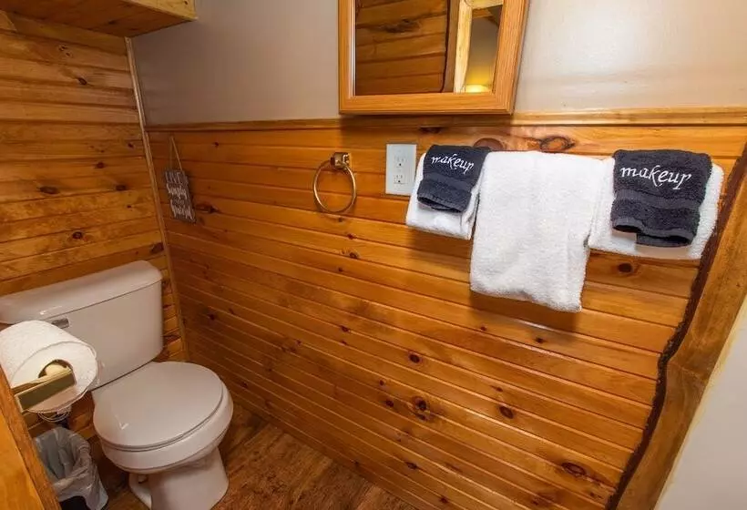 Motelli Tiny House Leadville