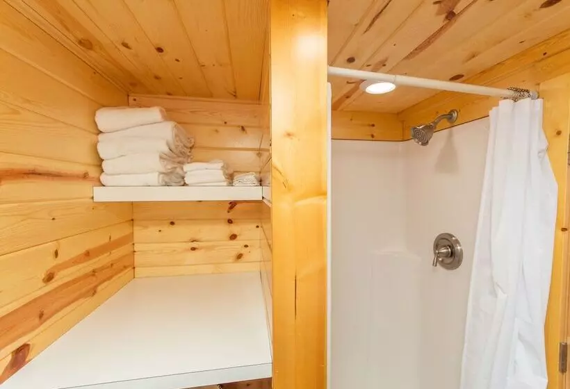 Motelli Tiny House Leadville