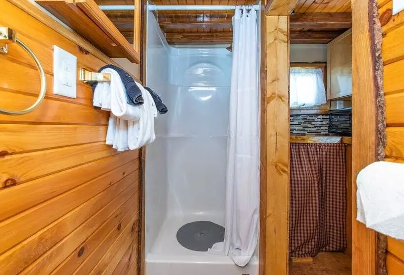 Motelli Tiny House Leadville
